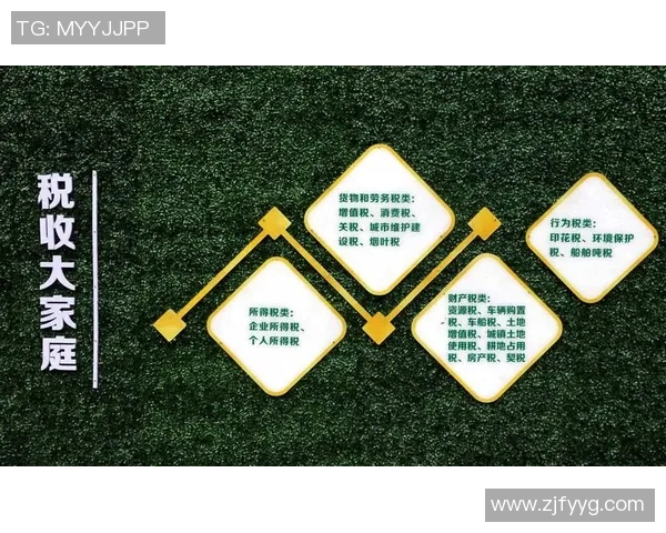 探索奥蓬达的魅力与历史：揭开这座城市的文化面纱与未来发展潜力